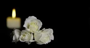 white roses with candle