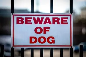 beware of dog sign on gate