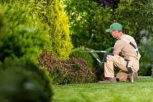 Injured landscapers should report their work injuries to their supervisors, seek medical care, and then speak with a workers’ comp lawyer to get the most from their claim.