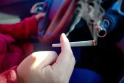 person smoking cannabis joint while driving 