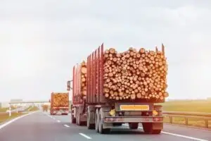 overloaded logging truck
