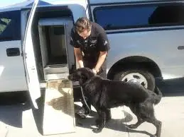 Policeman with K-9