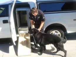 Policeman with K-9