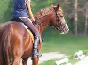 person on horseback