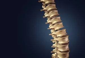 rendering of spinal column