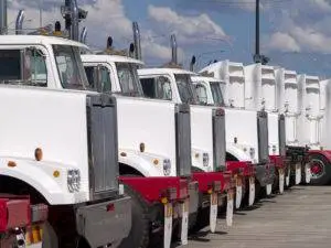 large white trucks lined