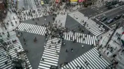 large-crowds-crossing-several-crosswalks