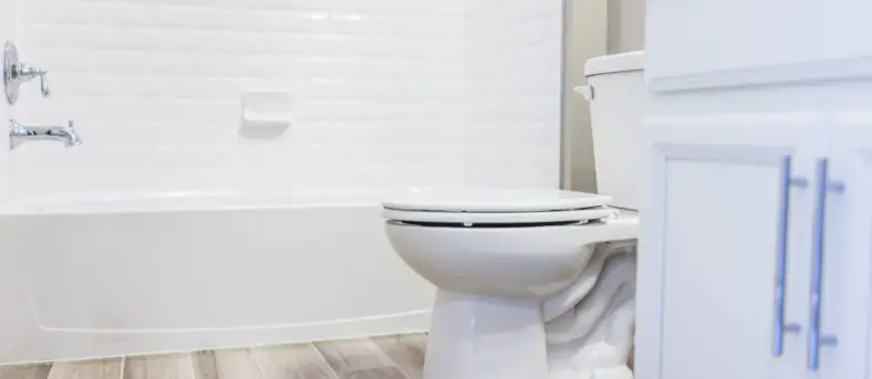 Why Does My Toilet Flush Slow?