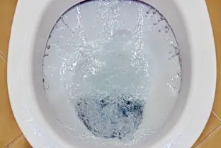 What Is Causing the Vibrating Sounds When I Flush My Toilet?