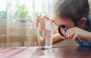 child examining glass of water with magnifying glass