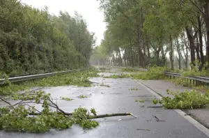 Injury Lawyer for Accidents Caused By High Winds in Los Angeles, CA