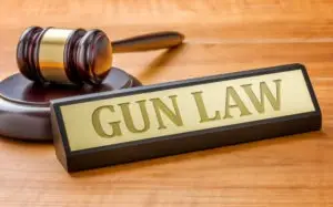 gavel with placard reading gun law