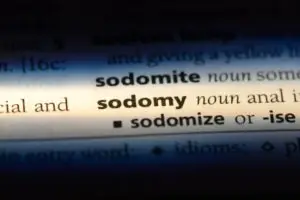 closeup of the word sodomy in a dictionary