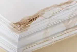 peeling lead paint on interior ceiling
