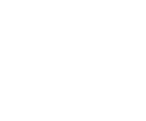 Meet The Team