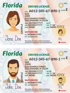 vector of sample driver's licenses