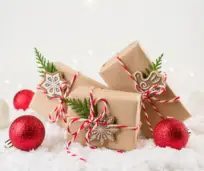 Christmas Holiday Gift Guide 2020 Parrish Law Firm