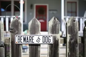 Beware Dog Sign Danger Bite