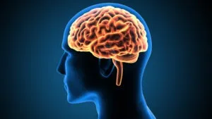 A human brain is glowing in orange. Call a Rancho Cordova traumatic brain injury attorney now for help.