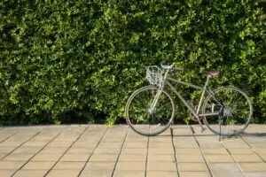 bicycle on a stand on walkway