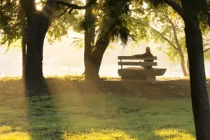 Widower sitting on a park bench looking at the lake after filing a wrongful death claim.