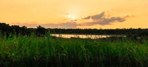 Unset At Camp Lejeune