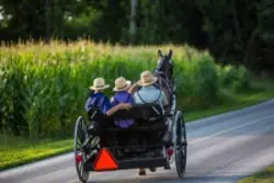 Amish people in horse-drawn carriage