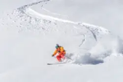One,freeride,skier,skiing,downhill,trough,deep,fresh,powder