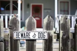 Beware,of,dog,sign,for,security,on,wooden,fence,outside