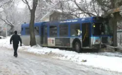 Snowy bus and tree accident